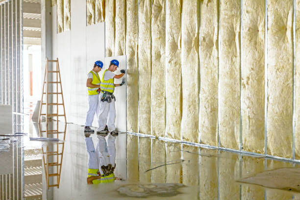Best Attic Insulation Near Me  in Lynnwood, WA